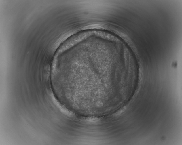 X0000112031233200908241530