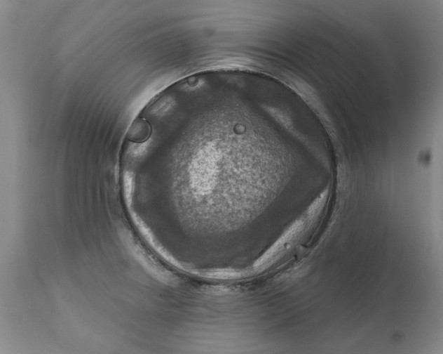 X0000112031234200908241530