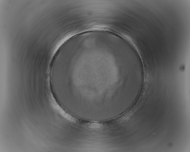 X0000112031235200908241530