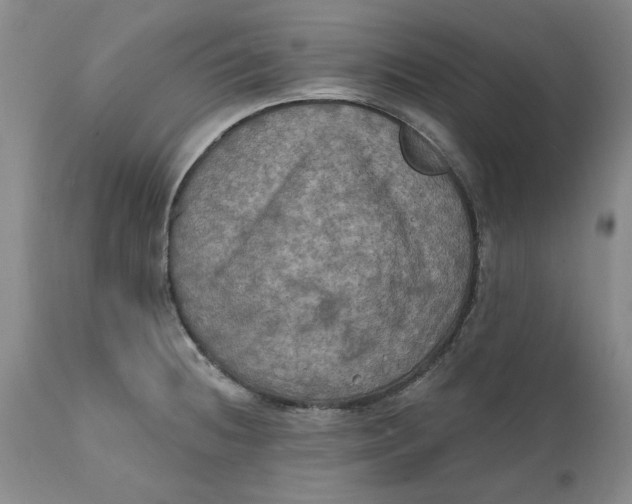 X0000112031236200908241530