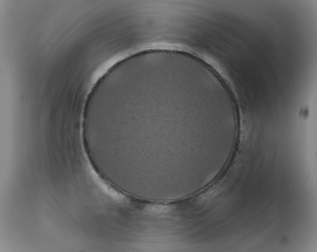 X0000112031237200908241530