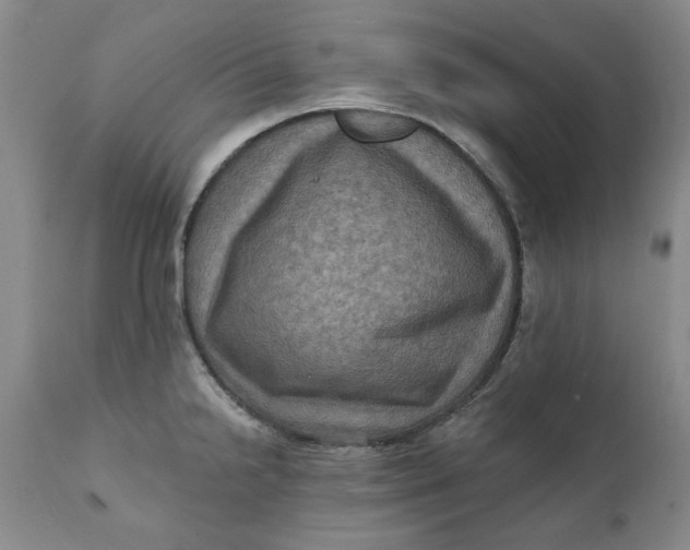 X0000112031238200908241530