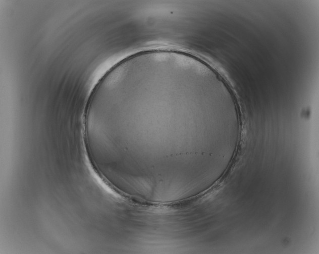 X0000112031239200908241530