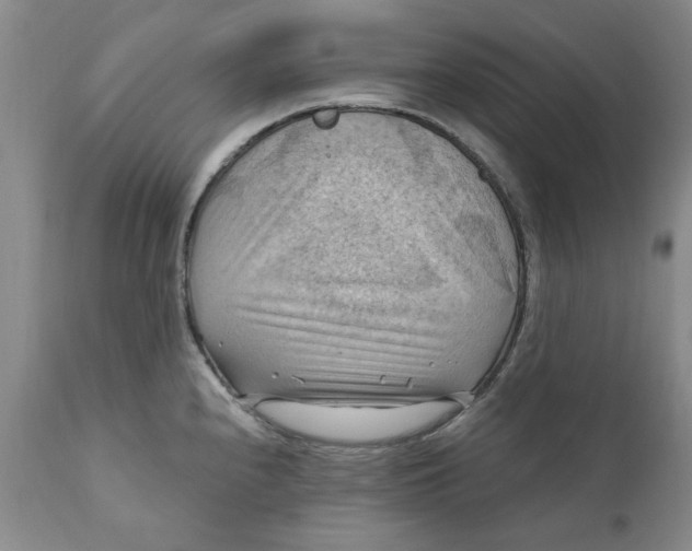 X0000112031240200908241530