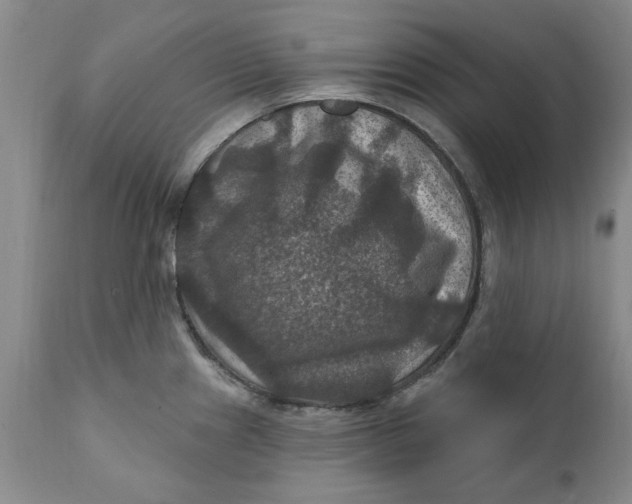 X0000112031241200908241530