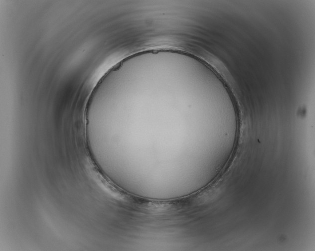 X0000112031242200908241530