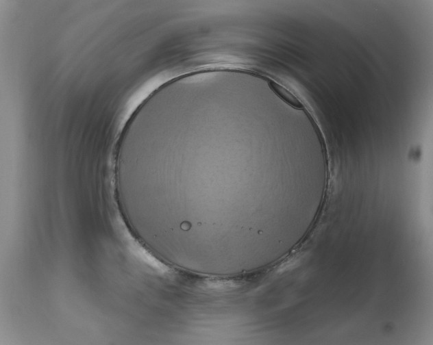 X0000112031243200908241530