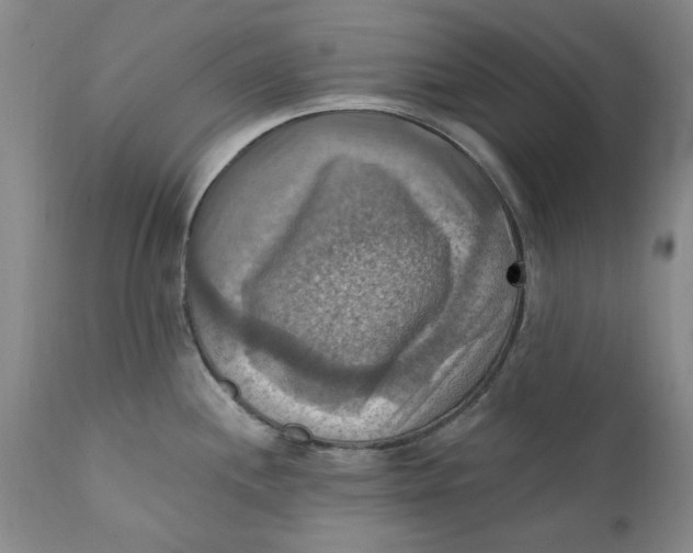 X0000112031244200908241530