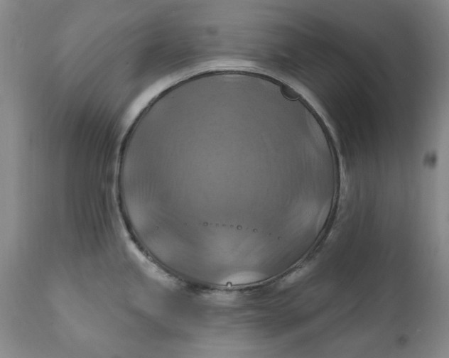 X0000112031245200908241530