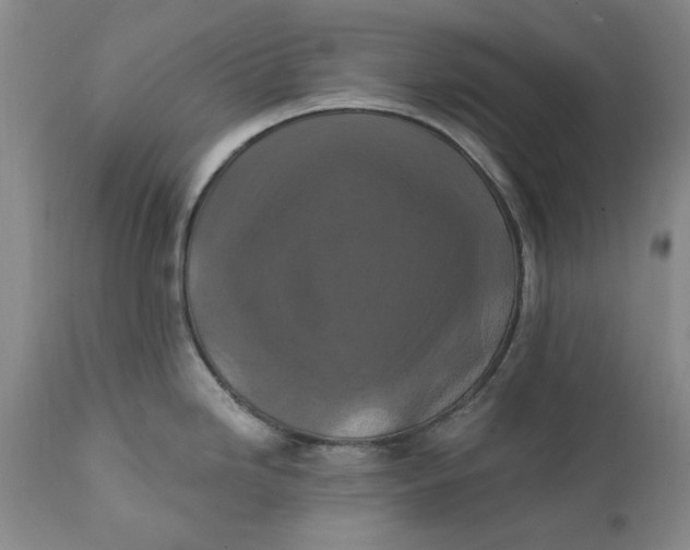 X0000112031246200908241530