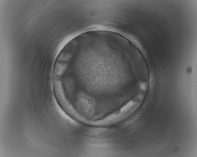 X0000112031247200908241530