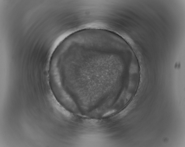 X0000112031248200908241530