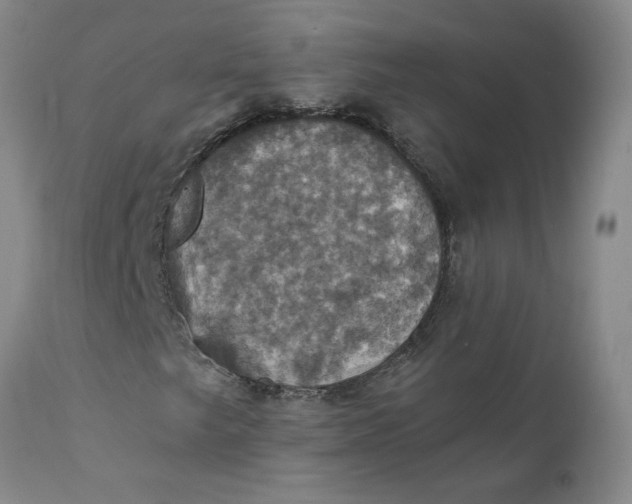 X0000112031249200908241530