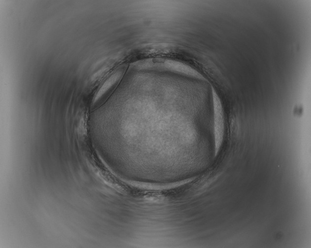 X0000112031250200908241530