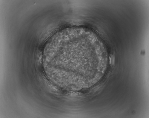 X0000112031251200908241530