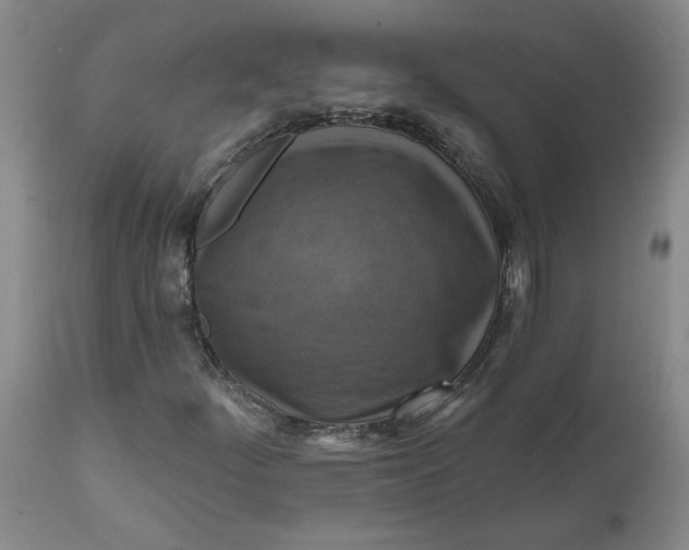 X0000112031252200908241530