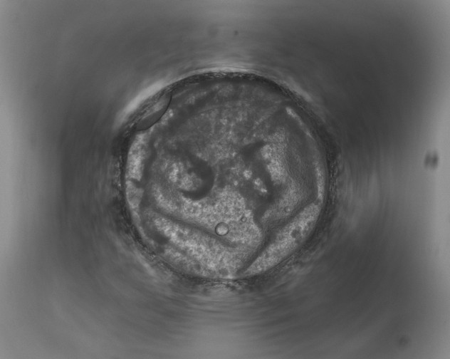 X0000112031255200908241530