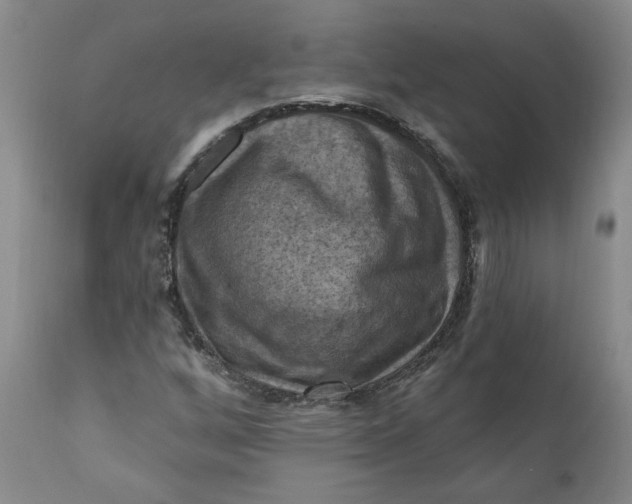 X0000112031256200908241530