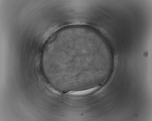 X0000112031257200908241530