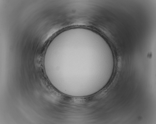 X0000112031258200908241530