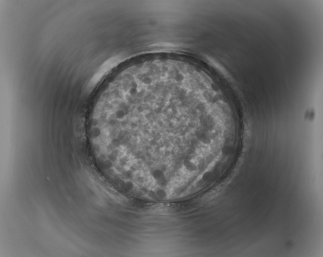 X0000112031259200908241530