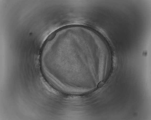 X0000112031260200908241530