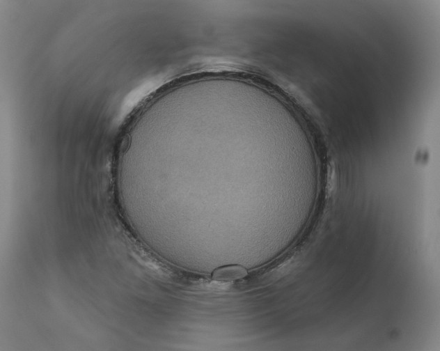 X0000112031261200908241530