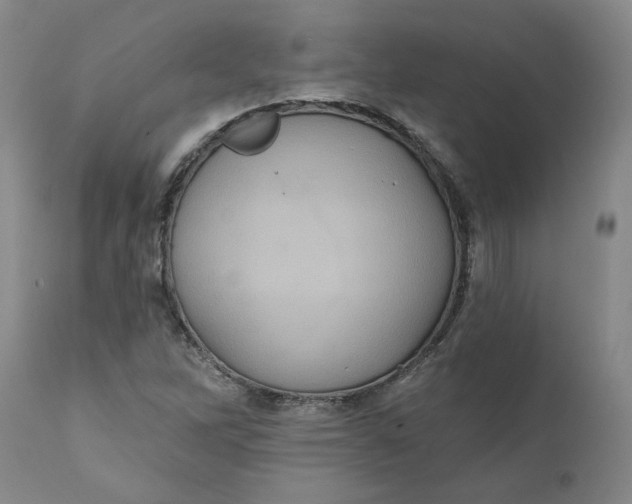 X0000112031262200908241530