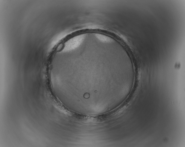 X0000112031263200908241530