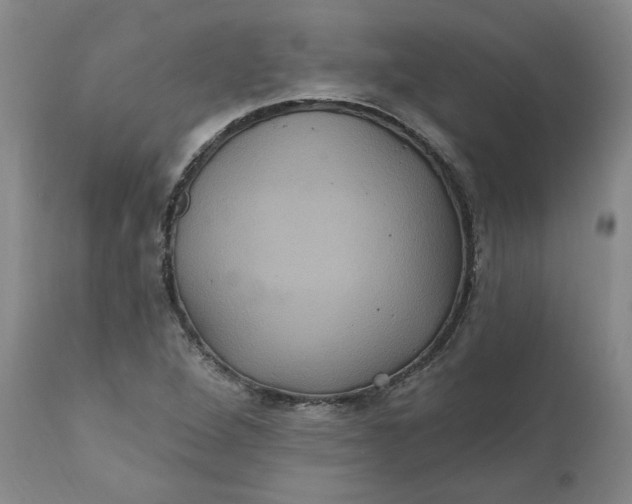 X0000112031264200908241530