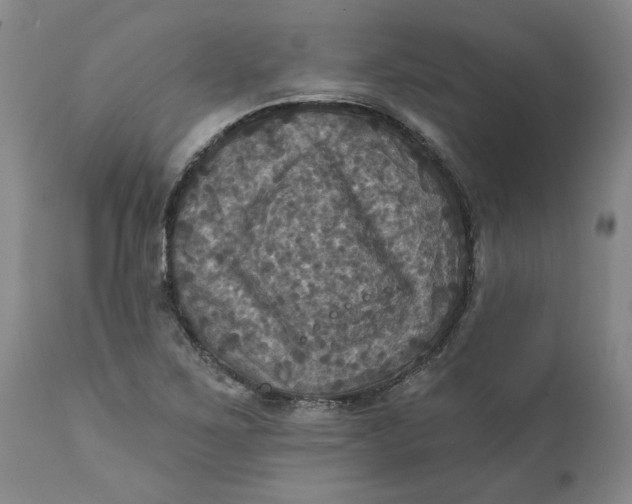 X0000112031267200908241530