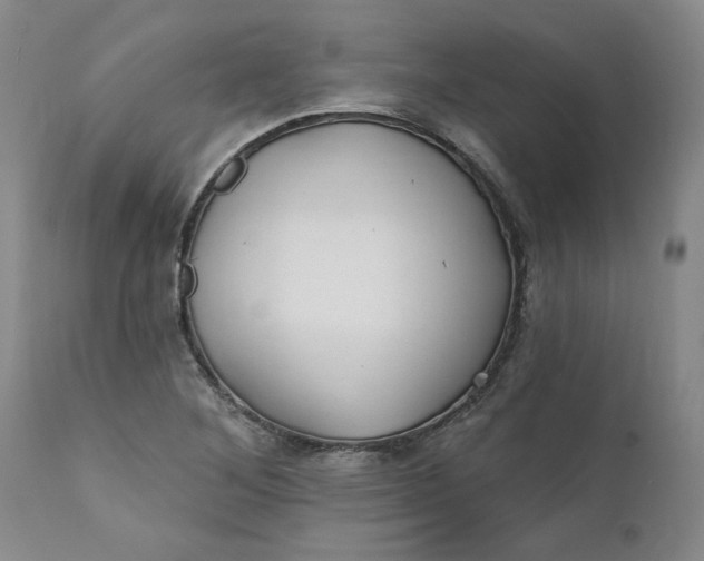 X0000112031268200908241530