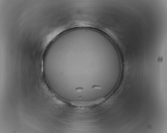 X0000112031269200908241530