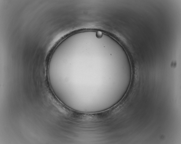 X0000112031270200908241530