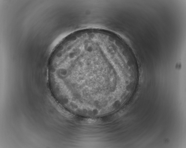 X0000112031271200908241530