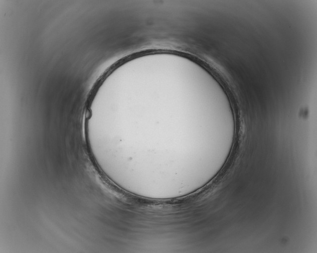 X0000112031272200908241529