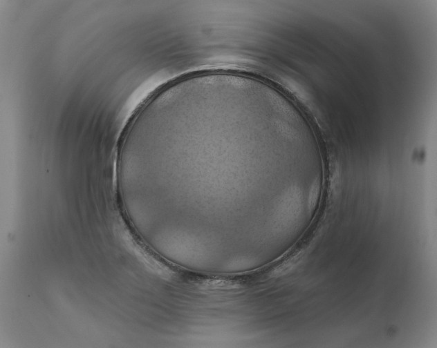 X0000112031275200908241529