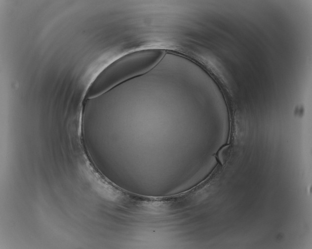 X0000112031276200908241529