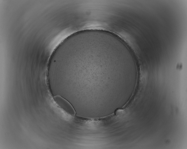 X0000112031277200908241529