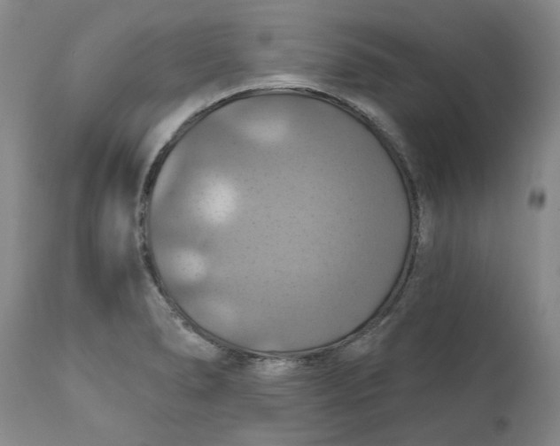 X0000112031278200908241529