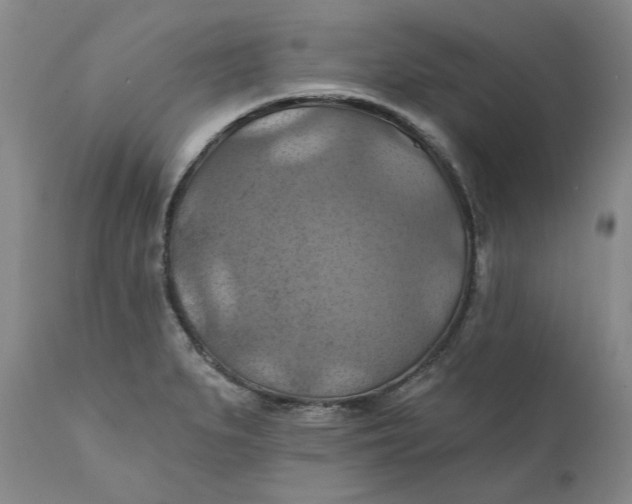 X0000112031279200908241529