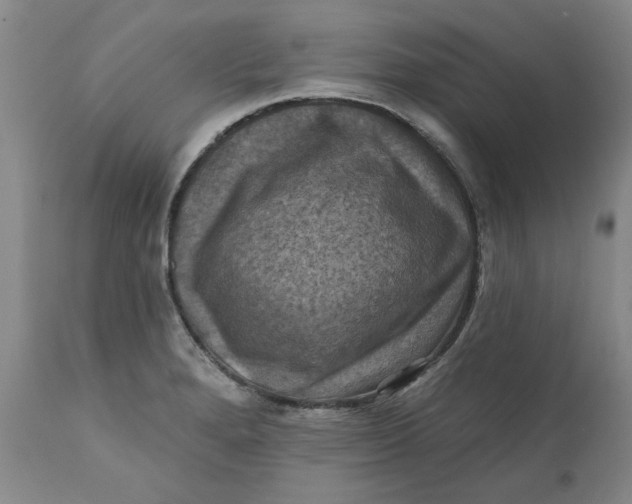 X0000112031280200908241529