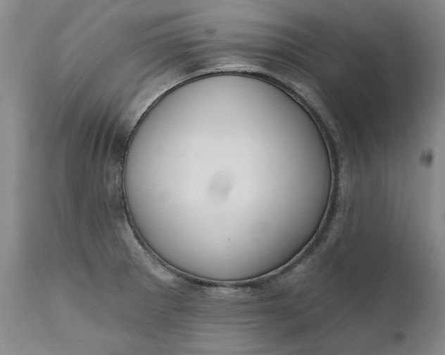 X0000112031281200908241529