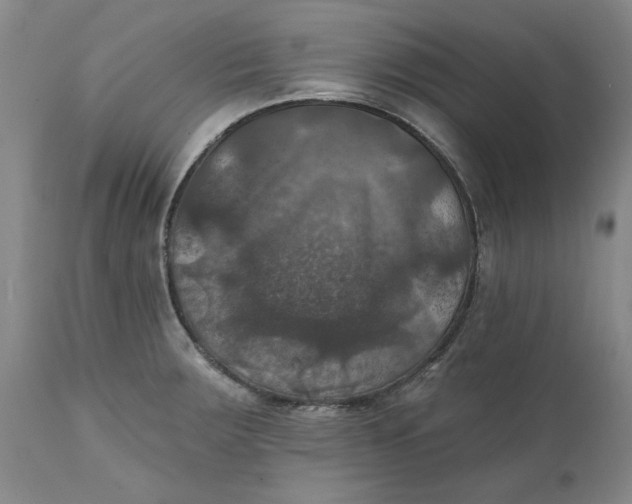 X0000112031283200908241529