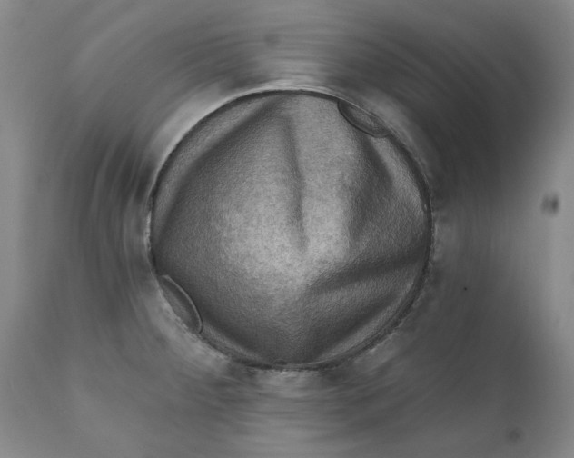 X0000112031284200908241529