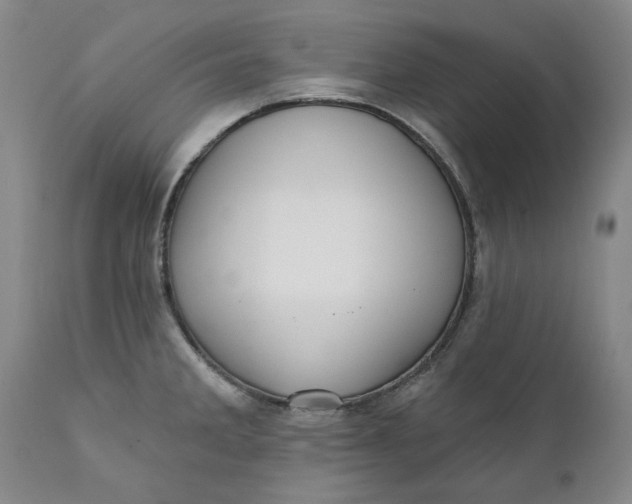 X0000112031285200908241529