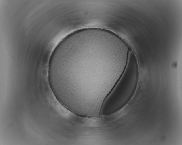 X0000112031288200908241529