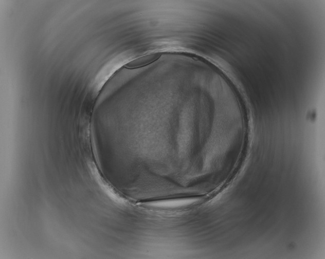 X0000112031289200908241529