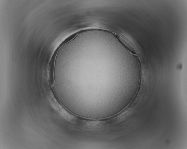 X0000112031292200908241529