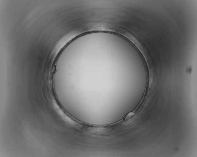 X0000112031293200908241529